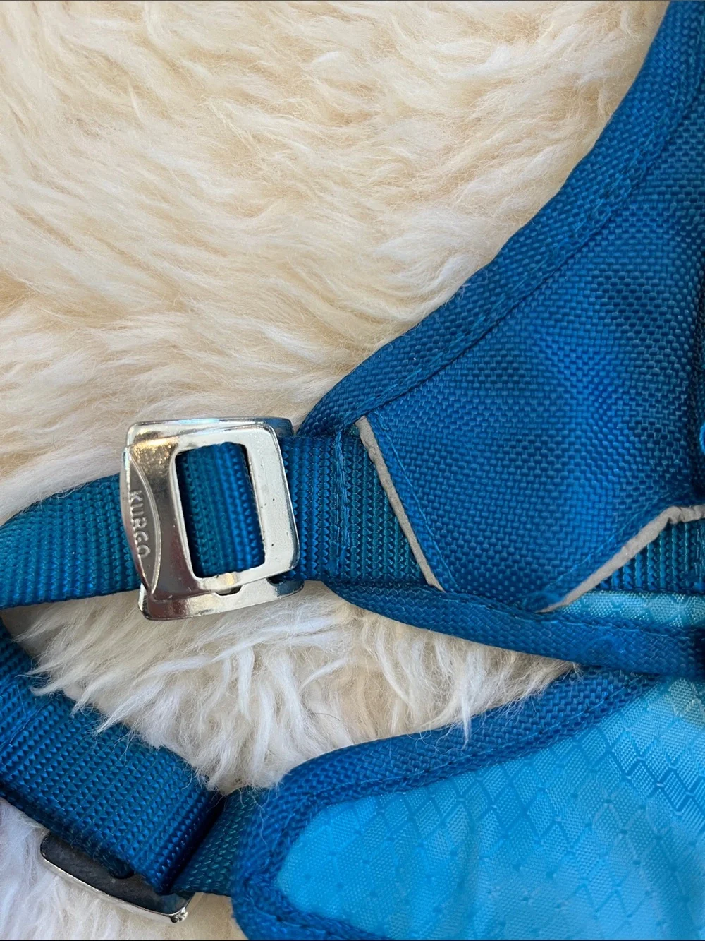 Kurgo Adjustable Teal Blue Dog Harness, Size Large